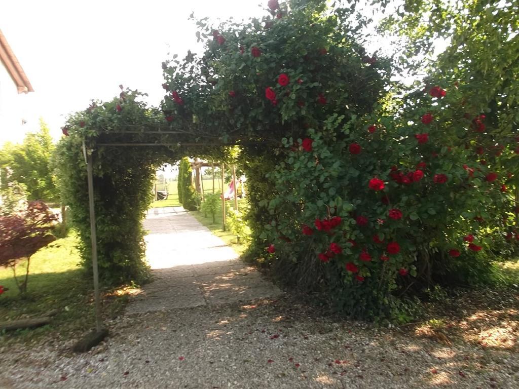 Agriturismo La Prateria Gazzo  Exterior photo